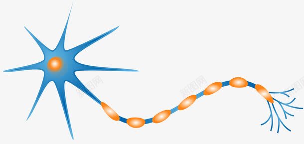 蓝色反射弧神经细胞png免抠素材_新图网 https://ixintu.com 人体组成 人体细胞 反射弧 矢量细胞 神经元 神经细胞 蓝色 蓝色细胞