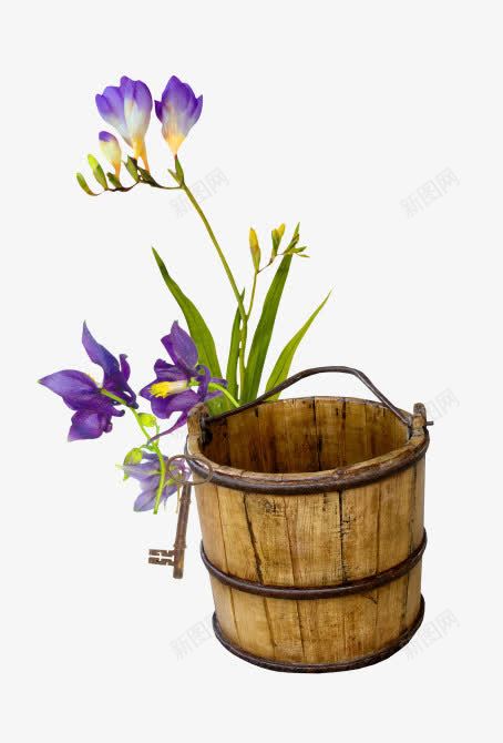 紫色花木桶装饰png免抠素材_新图网 https://ixintu.com png 木桶 紫色花 装饰