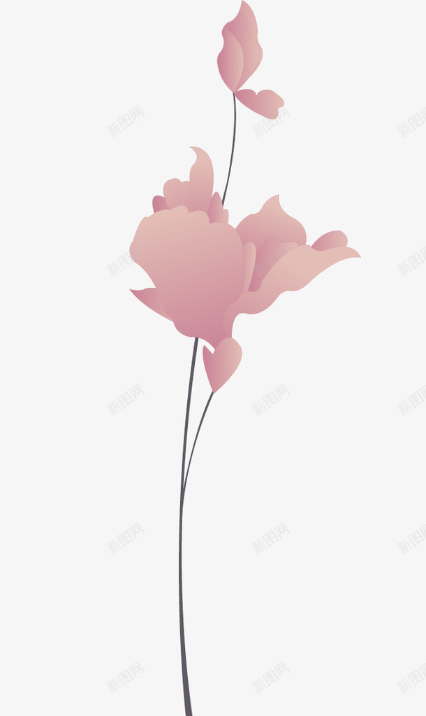 粉色插画花朵png免抠素材_新图网 https://ixintu.com 插画素材 粉色花卉 粉色花朵 花卉素材 花朵
