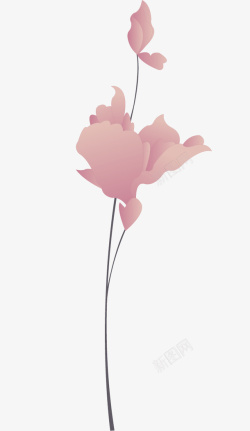 粉色插画花朵素材