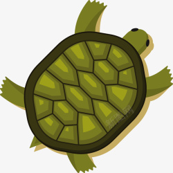 一只绿色小乌龟矢量图素材