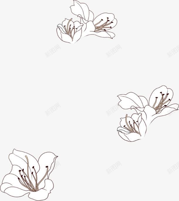 白色简约花朵美景装饰png免抠素材_新图网 https://ixintu.com 白色 简约 美景 花朵 装饰