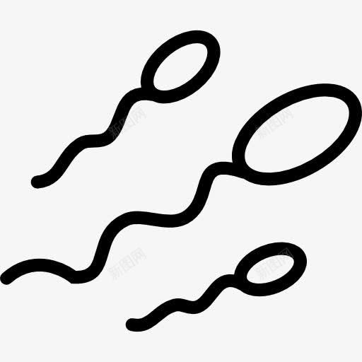 Sperm图标png_新图网 https://ixintu.com 保健和医疗 医疗 妊娠 生殖 生育 男性 精子