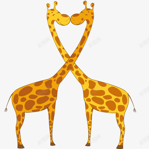 相亲相爱的长颈鹿png免抠素材_新图网 https://ixintu.com 动物 成双的 爱心 相恋 相爱的 长颈鹿