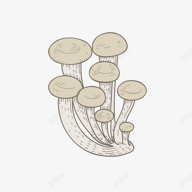 卡通手绘小清新蘑菇矢量图eps免抠素材_新图网 https://ixintu.com PNG蘑菇 卡通 卡通蘑菇 手绘蘑菇 蘑菇 蘑菇PNG 矢量图