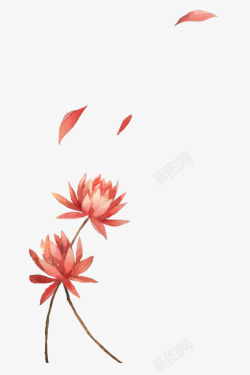 清新唯美手绘红色花朵插画素材