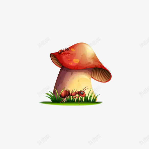 红色的蘑菇和蚂蚁矢量图ai免抠素材_新图网 https://ixintu.com 矢量蘑菇 矢量蚂蚁 红色 蘑菇 蚂蚁 矢量图