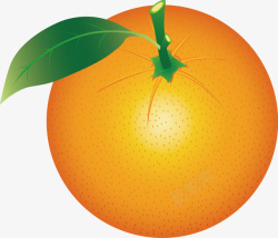 图图网设计橘子手绘图案图图网矢量图高清图片