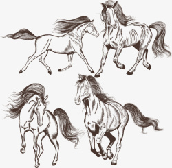 四匹马四匹马矢量图高清图片