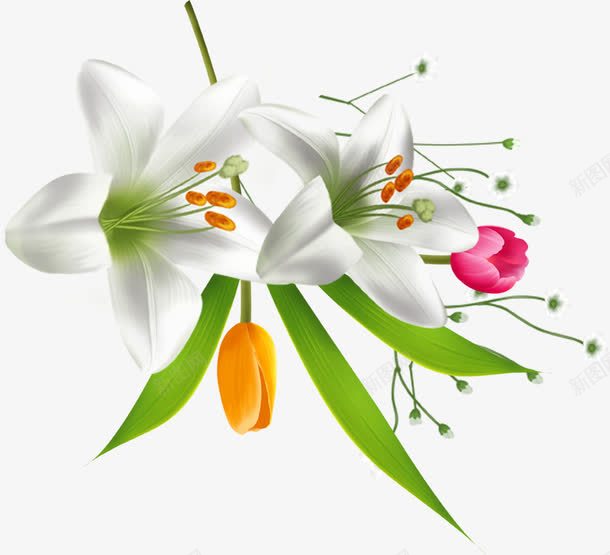 白色卡通唯美花朵植物png免抠素材_新图网 https://ixintu.com 卡通 植物 白色 花朵
