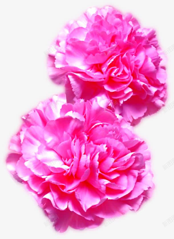 创意摄影红色的手工花朵png免抠素材_新图网 https://ixintu.com 创意 手工 摄影 红色 花朵
