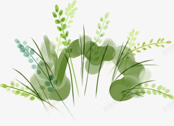 创意手绘水彩绿色的植物花卉png免抠素材_新图网 https://ixintu.com 创意 植物 水彩 绿色 花卉
