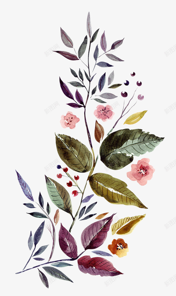 彩色手绘的花朵装饰png免抠素材_新图网 https://ixintu.com 叶子 彩色花朵 植物 绿植 花卉 花朵 花朵装饰