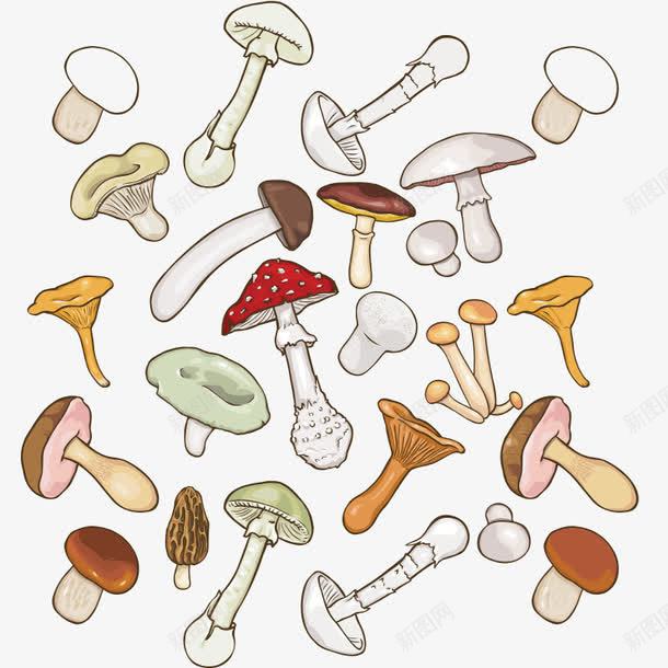 蘑菇菌类png免抠素材_新图网 https://ixintu.com 卡通 卡通蘑菇 大全 菇类 菌类 蘑菇