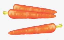 爱吃萝卜黄色的胡萝卜高清图片