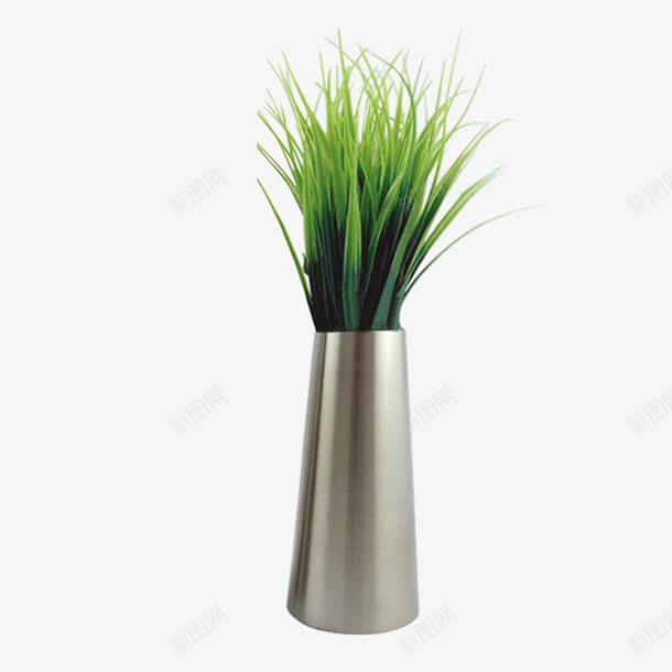 绿色植物png免抠素材_新图网 https://ixintu.com 简约 绿色 花瓶 草 装饰