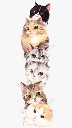 六只萌猫素材