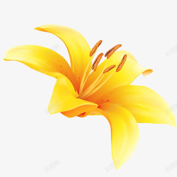 黄色花瓣png免抠素材_新图网 https://ixintu.com 花 花瓣 黄色 黄色花瓣 黄花