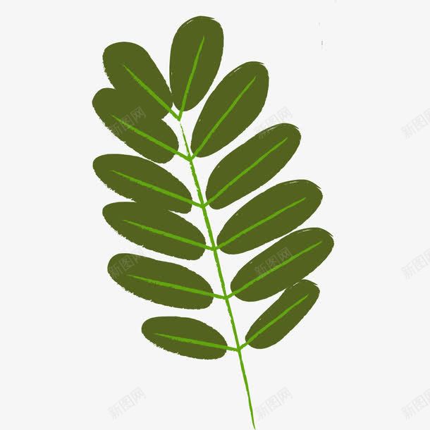 一片大洋槐树绿色的叶子png免抠素材_新图网 https://ixintu.com 一片 叶子 大洋槐树 绿色的