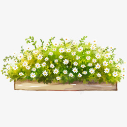 卡通植物素材