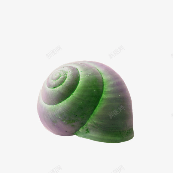 发光的蜗牛壳png免抠素材_新图网 https://ixintu.com PNG素材 发光 纹理 蜗牛壳