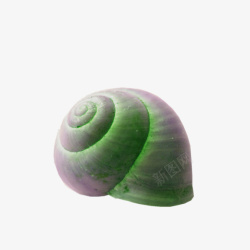 蜗牛纹理发光的蜗牛壳高清图片