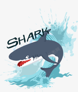 鲨鱼插画创意鲨鱼装饰图案矢量图高清图片