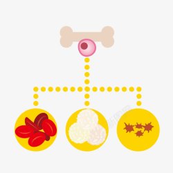 卡通骨质分析素材