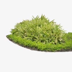 缁垮寲甯绿色植物高清图片