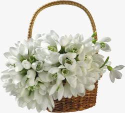 白色花绿色花篮素材