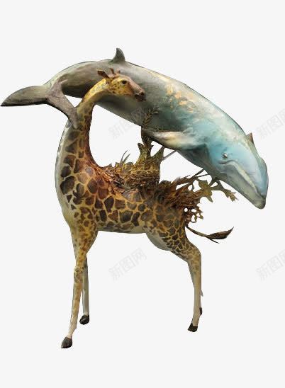 长颈鹿撑着鲨鱼png免抠素材_新图网 https://ixintu.com 长颈鹿 鲨鱼