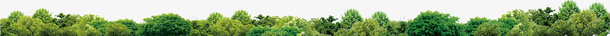 绿树边框装饰png免抠素材_新图网 https://ixintu.com 绿树 绿色 装饰 边框