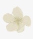 创意合成白色的花瓣png免抠素材_新图网 https://ixintu.com 创意 合成 白色 花瓣