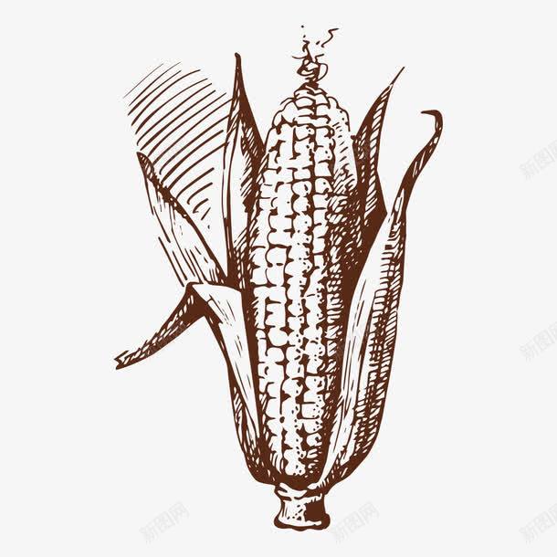 玉米png免抠素材_新图网 https://ixintu.com 卡通玉米 手绘玉米 玉米 粮食 苞米 苞谷
