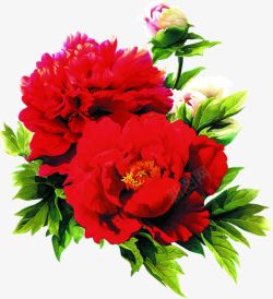红色鲜花美景装饰花朵素材