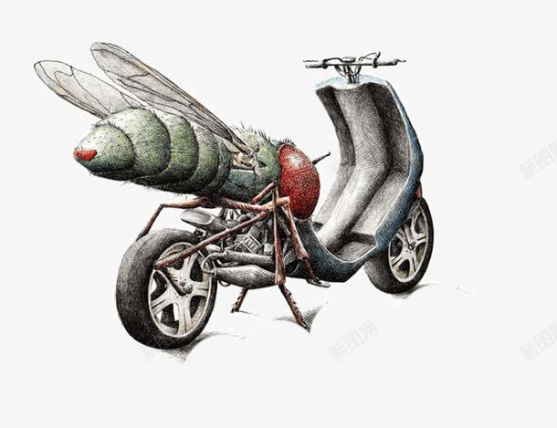 摩托车素描插画png免抠素材_新图网 https://ixintu.com 创意 手绘 插画 摩托车 素描 绘画 艺术 苍蝇