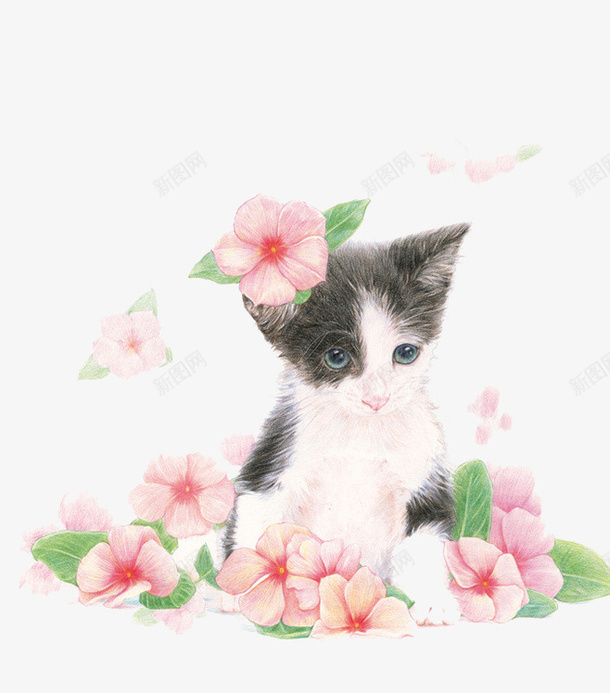 猫png免抠素材_新图网 https://ixintu.com 手绘 植物 清新 猫 花 花瓣 鲜花