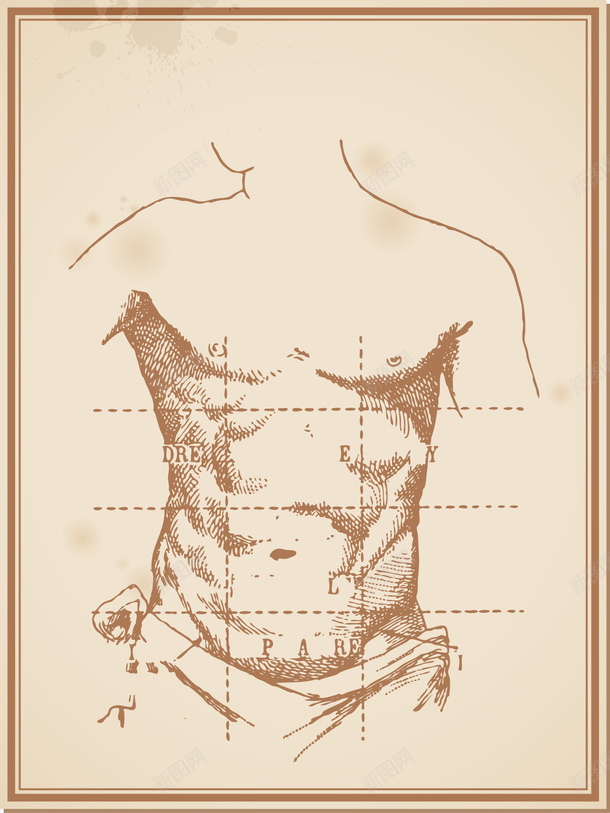 手绘人体png免抠素材_新图网 https://ixintu.com 人体 手绘画 矢量装饰 胸肌 装饰