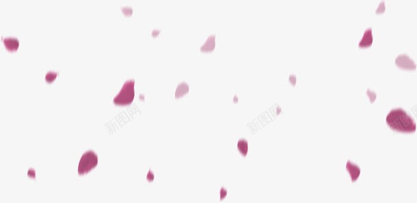 飘舞紫色玫瑰花瓣png免抠素材_新图网 https://ixintu.com 玫瑰 紫色 花瓣 飘舞