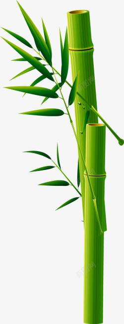 竹杆绿色竹子矢量图高清图片