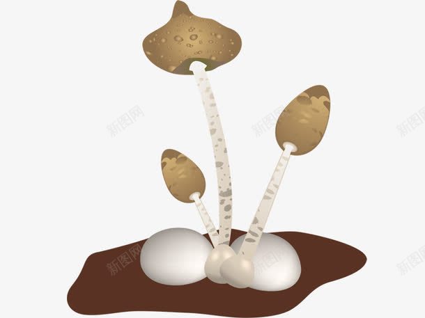 创意卡通蘑菇png免抠素材_新图网 https://ixintu.com 卡通 卡通蘑菇 蘑菇