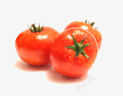 蔬菜番茄素材