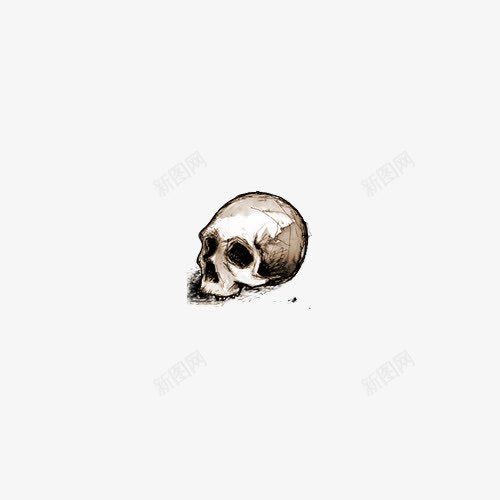 一个骷髅头png免抠素材_新图网 https://ixintu.com PNG图形 PNG装饰 手绘 装饰 骨骼 骷髅头