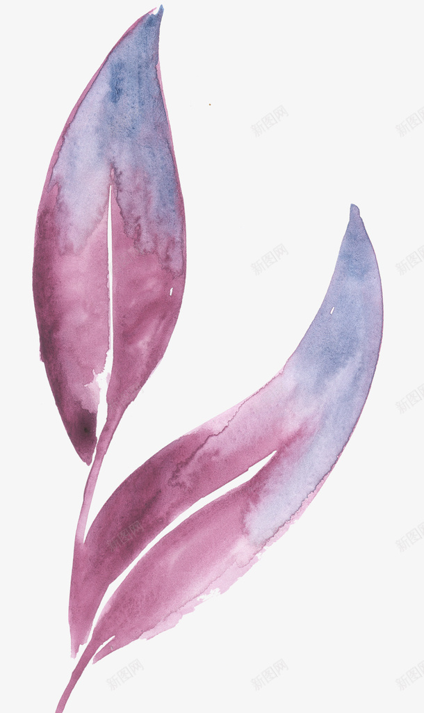 彩色蓝紫色的水彩叶子png免抠素材_新图网 https://ixintu.com 叶子 彩色 手绘 时尚 植物 水彩 简约创意 紫色