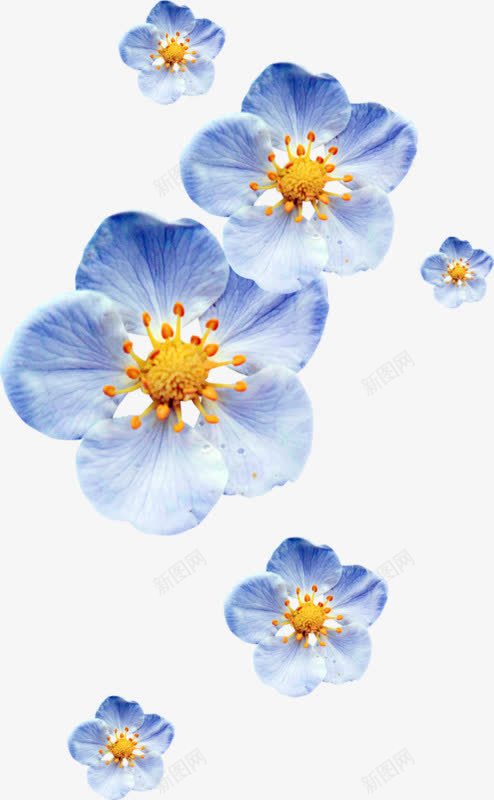 蓝色渐变花朵花瓣png免抠素材_新图网 https://ixintu.com 渐变 渐变蓝色 花瓣 蓝色渐变 蓝色花朵 蓝色花瓣