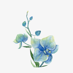 创意水彩手绘花朵素材