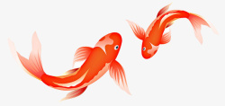 两鱼卡通手绘金色的鱼高清图片