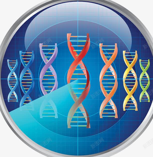 基因检测psd免抠素材_新图网 https://ixintu.com 医疗 扫描 染色体 核糖核酸