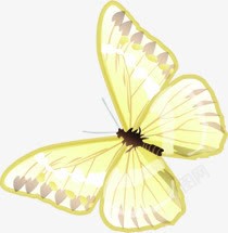春天黄色纹理光效蝴蝶素材