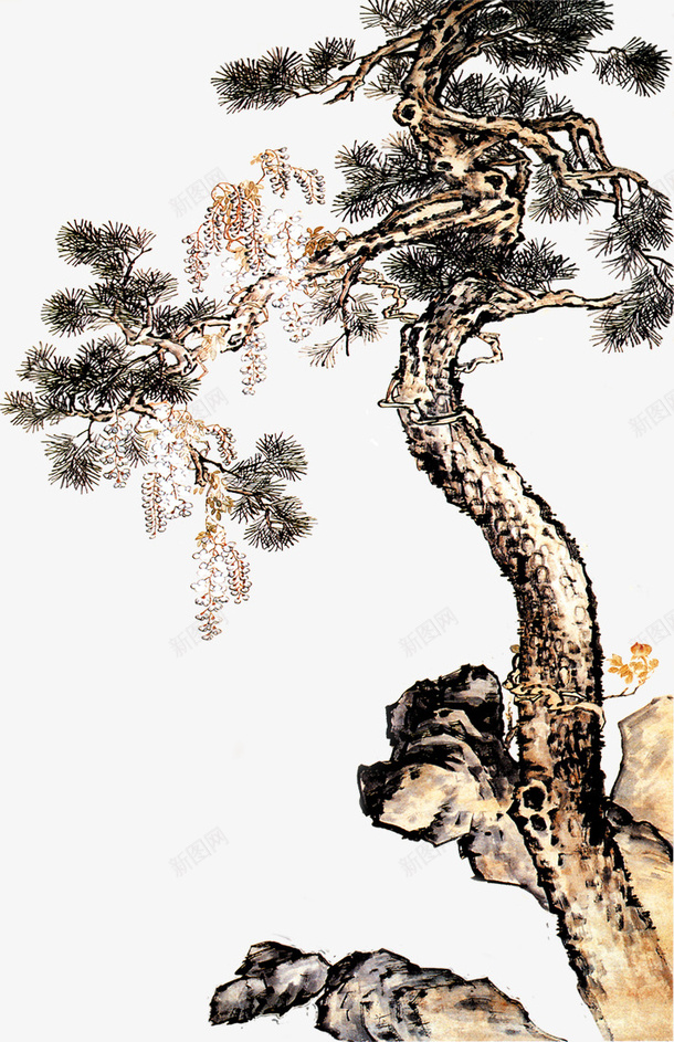 一颗螺旋松png免抠素材_新图网 https://ixintu.com png图形 松枝 植物 螺旋松 装饰